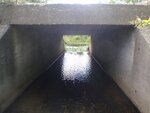 Culvert Crossing, Mill River, Cherryfield, Maine