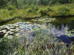 Culvert Crossing, Mill River, Cherryfield, Maine
