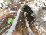 Culvert Crossing, Milbridge, Maine