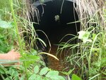Culvert Crossing, Ellsworth, Maine