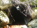 Culvert Crossing, Harrington, Maine