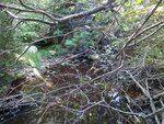 Culvert Crossing, Sorrento, Maine