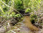 Culvert Crossing, Franklin, Maine