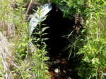 Culvert Crossing, Franklin, Maine