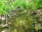 Culvert Crossing, Franklin, Maine