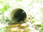 Culvert Crossing, Orland, Maine