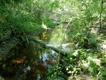 Culvert Crossing, Orland, Maine