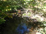 Culvert Crossing, Milbridge, Maine