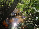 Culvert Crossing, Milbridge, Maine