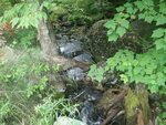 Culvert Crossing, Cook Brook, Waltham, Maine