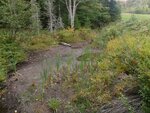 Culvert Crossing, Brooksville, Maine