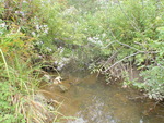 Culvert Crossing, Columbia Falls, Maine