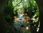 Culvert Crossing, Harrington, Maine