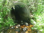 Culvert Crossing, Harrington, Maine