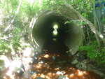 Culvert Crossing, Harrington, Maine