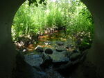 Culvert Crossing, Harrington, Maine