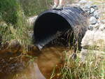 Culvert Crossing, Cherryfield, Maine
