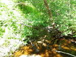 Culvert Crossing, Ellsworth, Maine