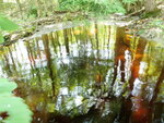 Culvert Crossing, Ellsworth, Maine