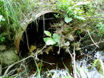 Culvert Crossing, Ellsworth, Maine
