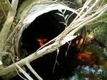 Culvert Crossing, Ellsworth, Maine