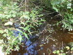 Culvert Crossing, Milbridge, Maine