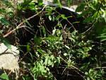 Culvert Crossing, Milbridge, Maine