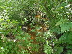 Culvert Crossing, Milbridge, Maine