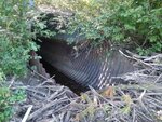 Culvert Crossing, Chicken Mill Stream, Gouldsboro, Maine