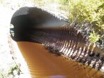 Culvert Crossing, Chicken Mill Stream, Gouldsboro, Maine
