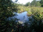 Culvert Crossing, Chicken Mill Stream, Gouldsboro, Maine