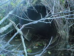Culvert Crossing, Hancock, Maine