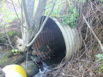 Culvert Crossing, Hancock, Maine
