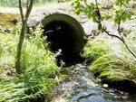 Culvert Crossing, Ellsworth, Maine