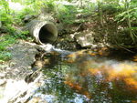 Culvert Crossing, Ellsworth, Maine