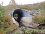 Culvert Crossing, Carleton Brook, Blue Hill, Maine