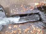 Culvert Crossing, Carleton Brook, Blue Hill, Maine