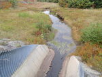 Culvert Crossing, Carleton Brook, Blue Hill, Maine