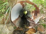Culvert Crossing, Steuben, Maine