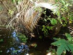 Culvert Crossing, Milbridge, Maine