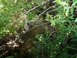 Culvert Crossing, Milbridge, Maine