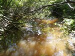 Culvert Crossing, Steuben, Maine