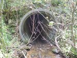 Culvert Crossing, Steuben, Maine