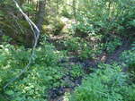 Culvert Crossing, Harrington, Maine
