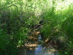 Culvert Crossing, Harrington, Maine