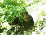 Culvert Crossing, Harvey Brook, Otis, Maine