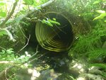 Culvert Crossing, Ellsworth, Maine