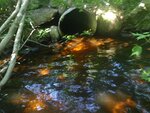 Culvert Crossing, Ellsworth, Maine