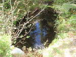 Culvert Crossing, Wesley, Maine