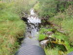 Multiple Culvert Crossing, West Branch New Stream, Wesley, Maine